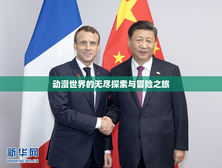动漫世界的无尽探索与冒险之旅