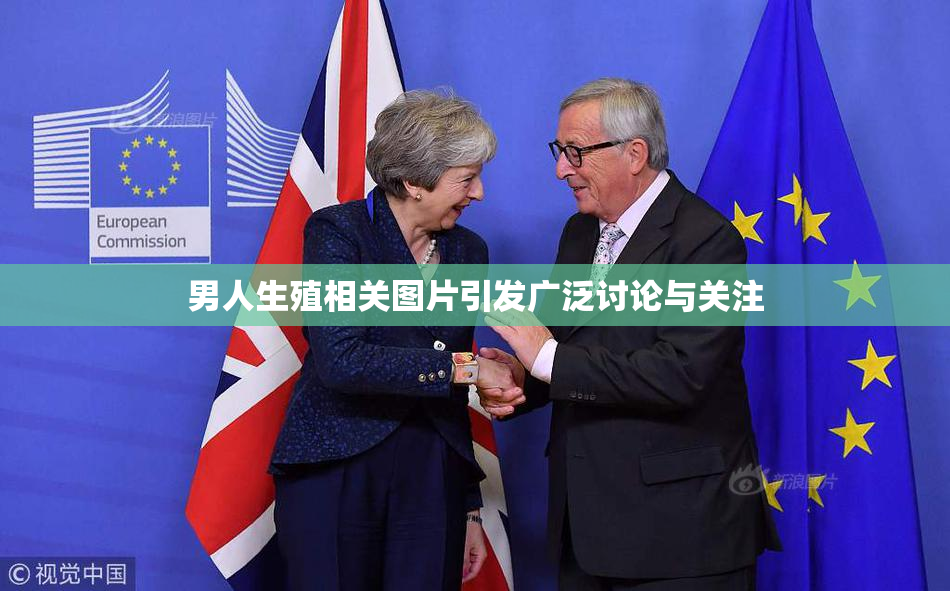 男人生殖相关图片引发广泛讨论与关注