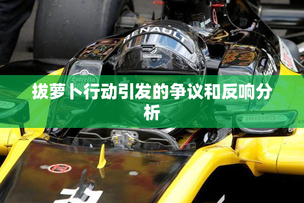 拔萝卜行动引发的争议和反响分析