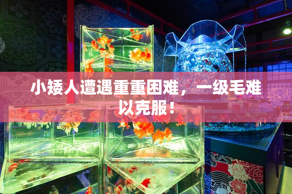 小矮人遭遇重重困难，一级毛难以克服！