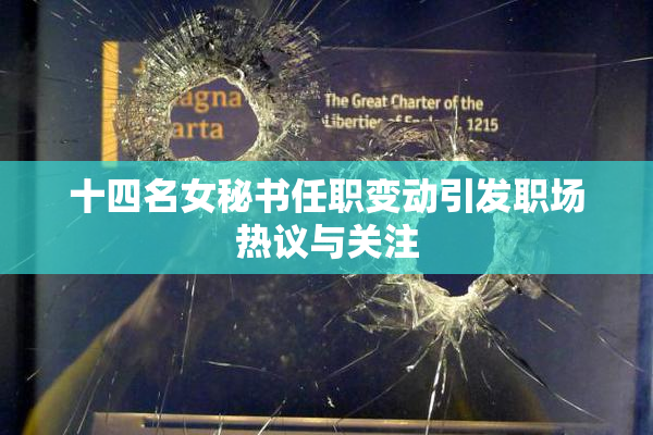 十四名女秘书任职变动引发职场热议与关注