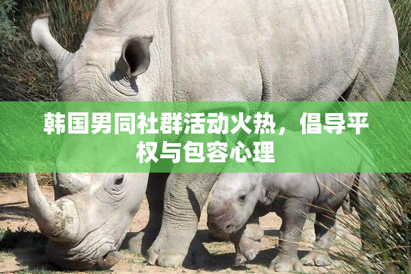 韩国男同社群活动火热，倡导平权与包容心理