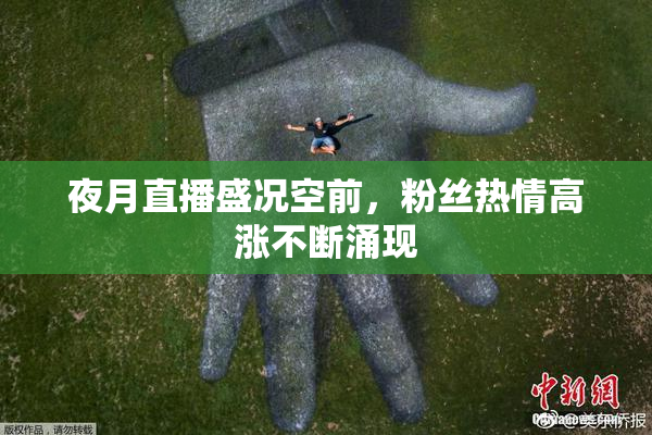 夜月直播盛况空前，粉丝热情高涨不断涌现