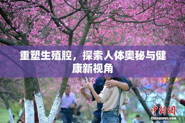 重塑生殖腔，探索人体奥秘与健康新视角