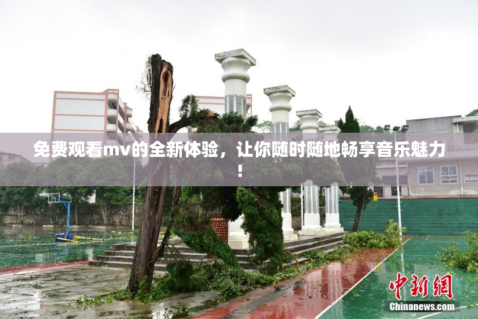 免费观看mv的全新体验，让你随时随地畅享音乐魅力!