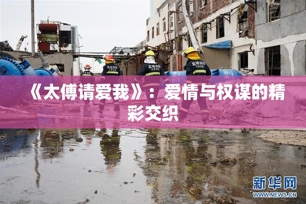 《太傅请爱我》：爱情与权谋的精彩交织