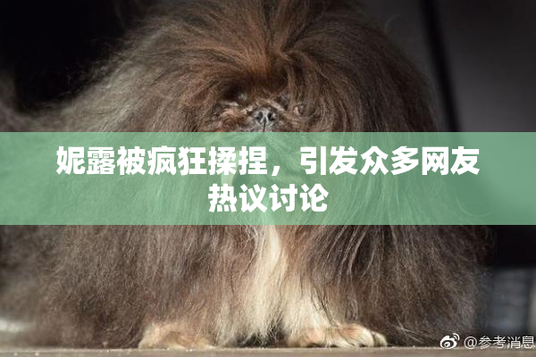 妮露被疯狂揉捏，引发众多网友热议讨论