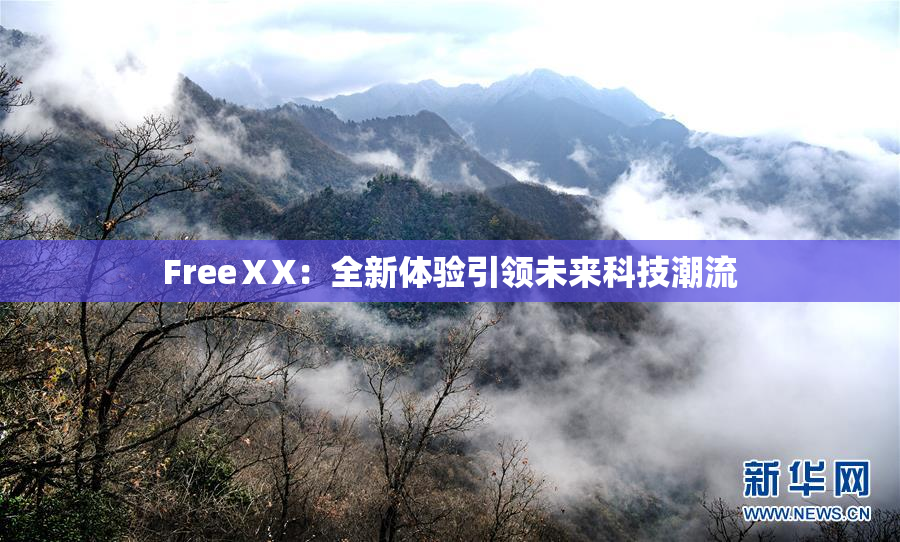 FreeⅩX：全新体验引领未来科技潮流