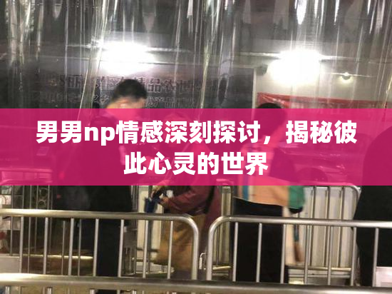 男男np情感深刻探讨，揭秘彼此心灵的世界