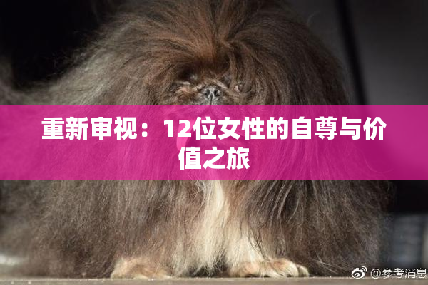 重新审视：12位女性的自尊与价值之旅