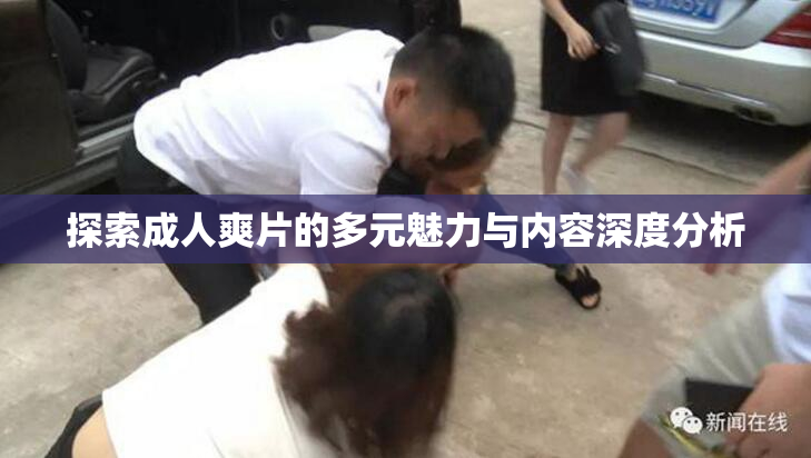 探索成人爽片的多元魅力与内容深度分析