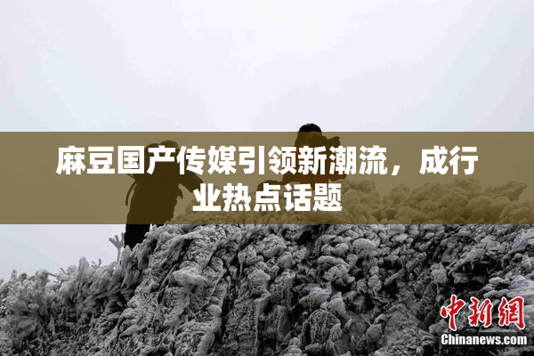 麻豆国产传媒引领新潮流，成行业热点话题