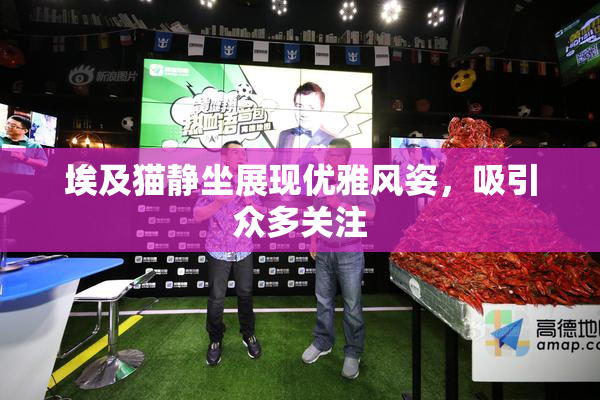 埃及猫静坐展现优雅风姿，吸引众多关注