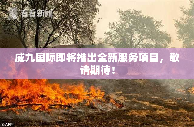 威九国际即将推出全新服务项目，敬请期待！