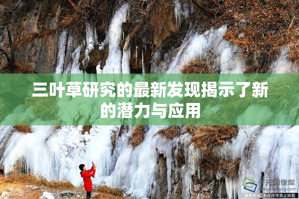 三叶草研究的最新发现揭示了新的潜力与应用