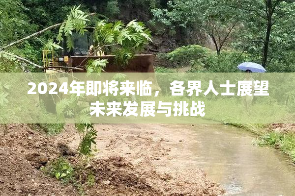 2024年即将来临，各界人士展望未来发展与挑战