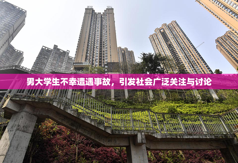 男大学生不幸遭遇事故，引发社会广泛关注与讨论