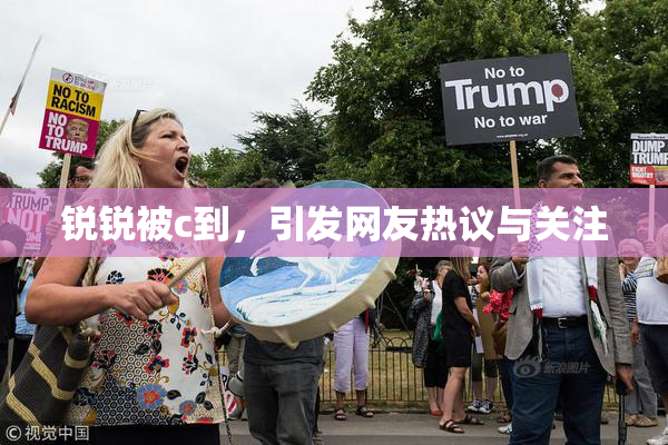 锐锐被c到，引发网友热议与关注