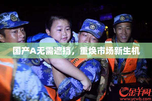 国产A无需遮挡，重焕市场新生机