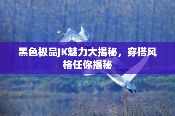 黑色极品JK魅力大揭秘，穿搭风格任你揭秘