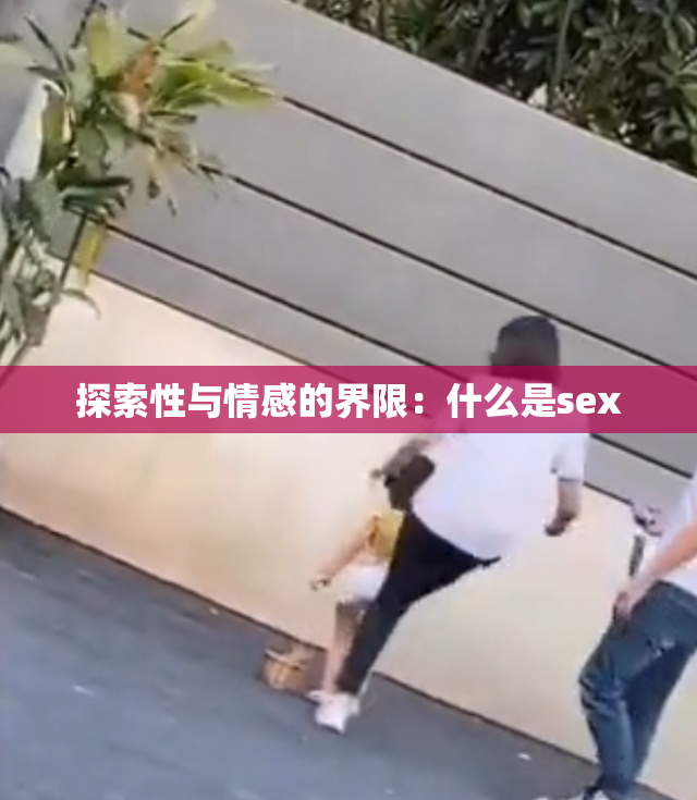 探索性与情感的界限：什么是sex
