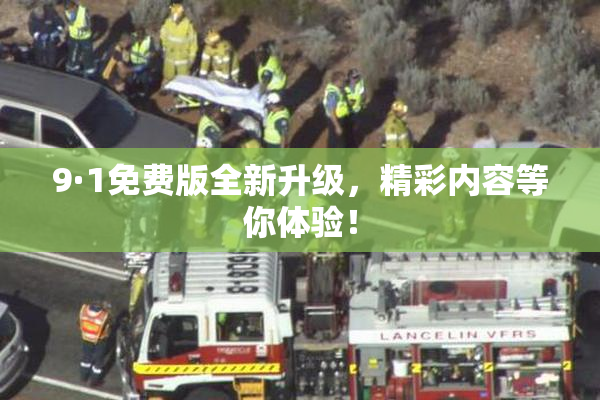 9·1免费版全新升级，精彩内容等你体验！