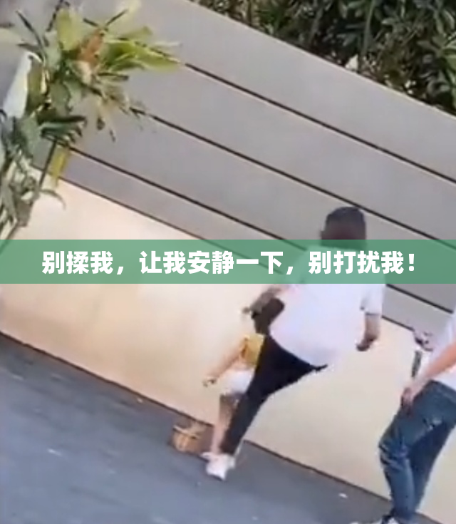 别揉我，让我安静一下，别打扰我！
