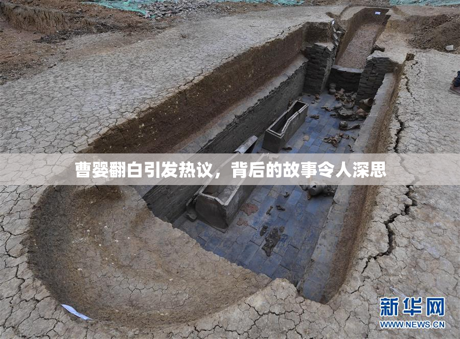 曹婴翻白引发热议，背后的故事令人深思