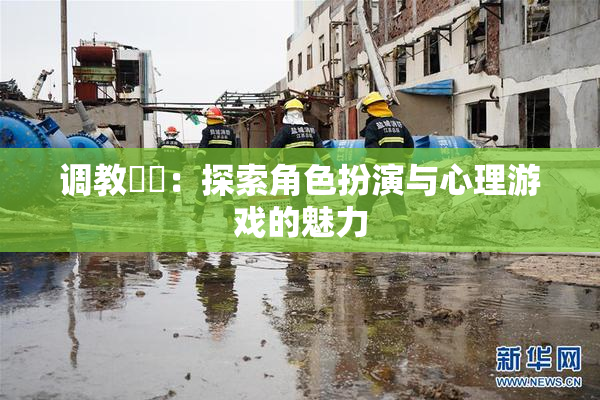 调教妺妺：探索角色扮演与心理游戏的魅力