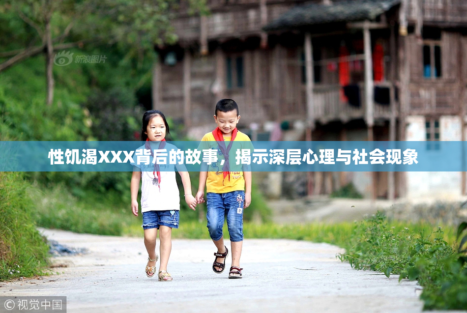 性饥渴XXX背后的故事，揭示深层心理与社会现象