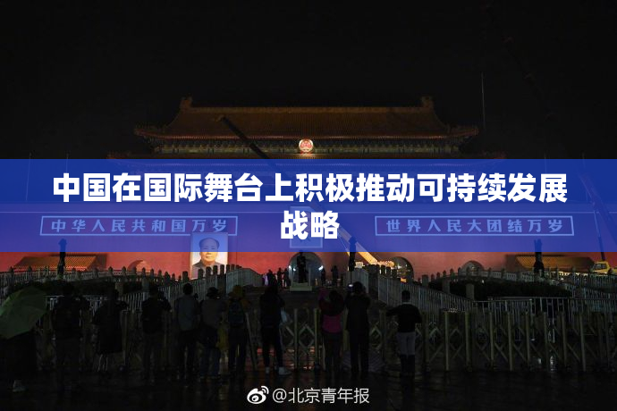 中国在国际舞台上积极推动可持续发展战略