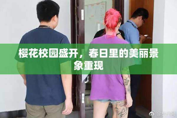樱花校园盛开，春日里的美丽景象重现