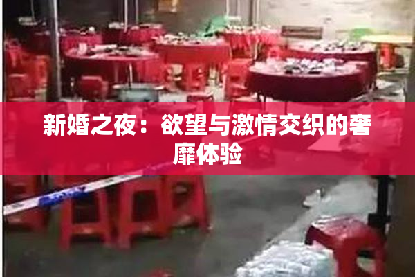 新婚之夜：欲望与激情交织的奢靡体验