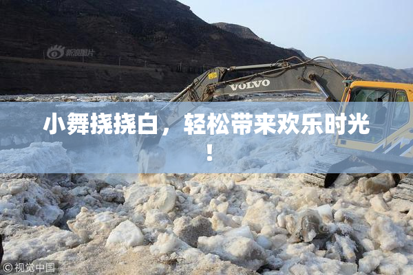 小舞挠挠白，轻松带来欢乐时光！