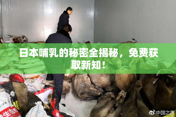 日本哺乳的秘密全揭秘，免费获取新知！