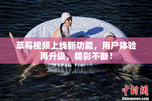 草莓视频上线新功能，用户体验再升级，精彩不断！