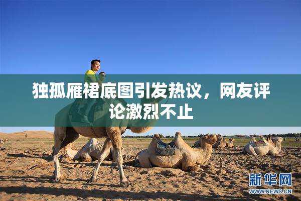 独孤雁裙底图引发热议，网友评论激烈不止