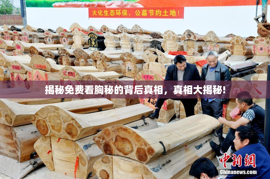 揭秘免费看胸秘的背后真相，真相大揭秘!