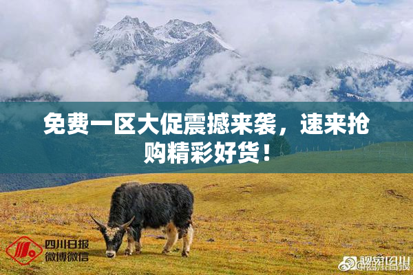 免费一区大促震撼来袭，速来抢购精彩好货！