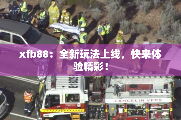 xfb88：全新玩法上线，快来体验精彩！