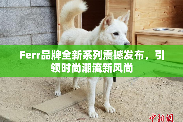 Ferr品牌全新系列震撼发布，引领时尚潮流新风尚