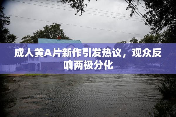 成人黄A片新作引发热议，观众反响两极分化