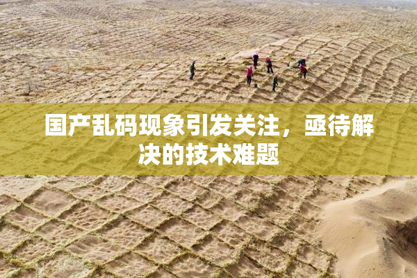 国产乱码现象引发关注，亟待解决的技术难题