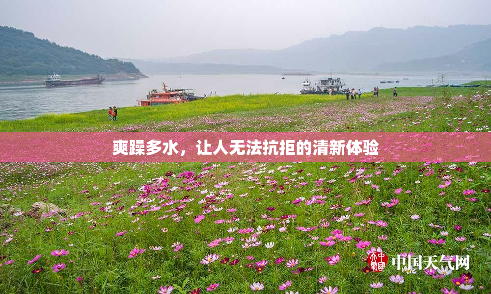 爽躁多水，让人无法抗拒的清新体验