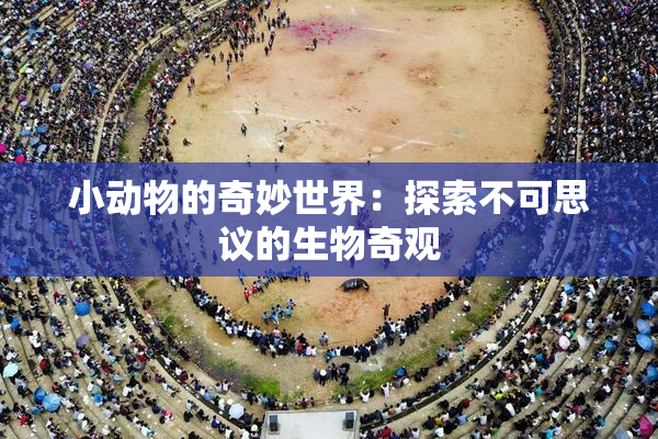 小动物的奇妙世界：探索不可思议的生物奇观