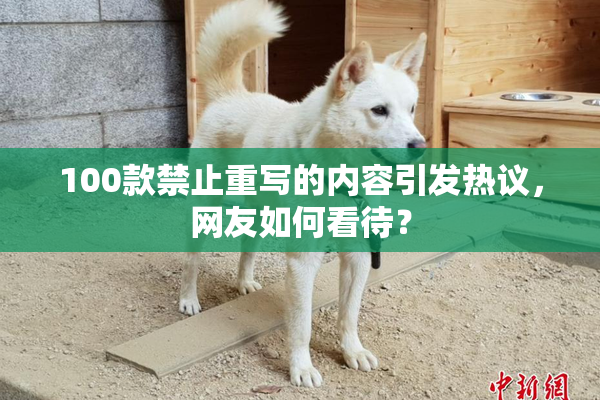 100款禁止重写的内容引发热议，网友如何看待？