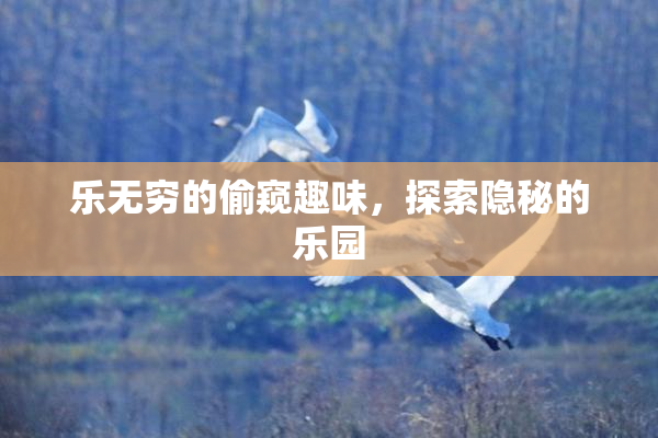 乐无穷的偷窥趣味，探索隐秘的乐园
