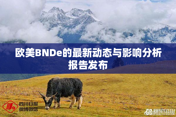 欧美BNDe的最新动态与影响分析报告发布