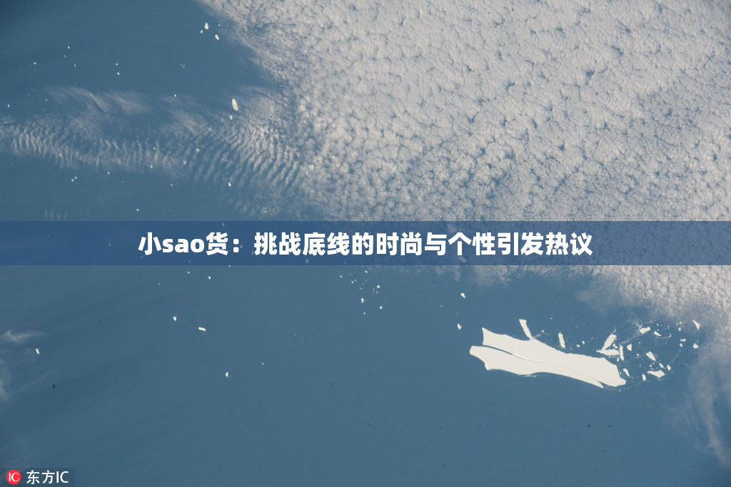 小sao货：挑战底线的时尚与个性引发热议