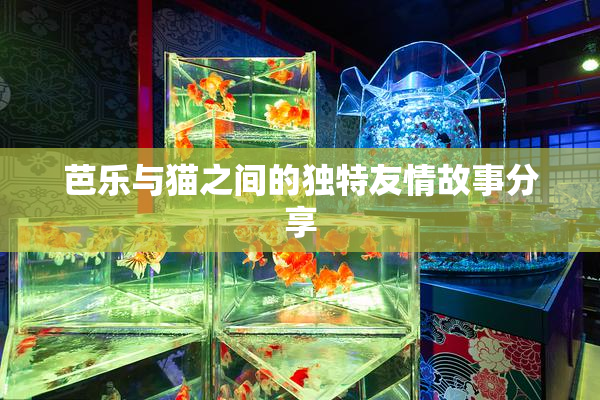 芭乐与猫之间的独特友情故事分享